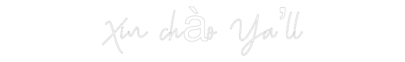 Custom Neon: Xin chào Ya’ll
