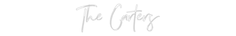 Custom Neon: The Carters