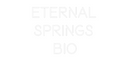 Custom Neon: ETERNAL 
SPR...