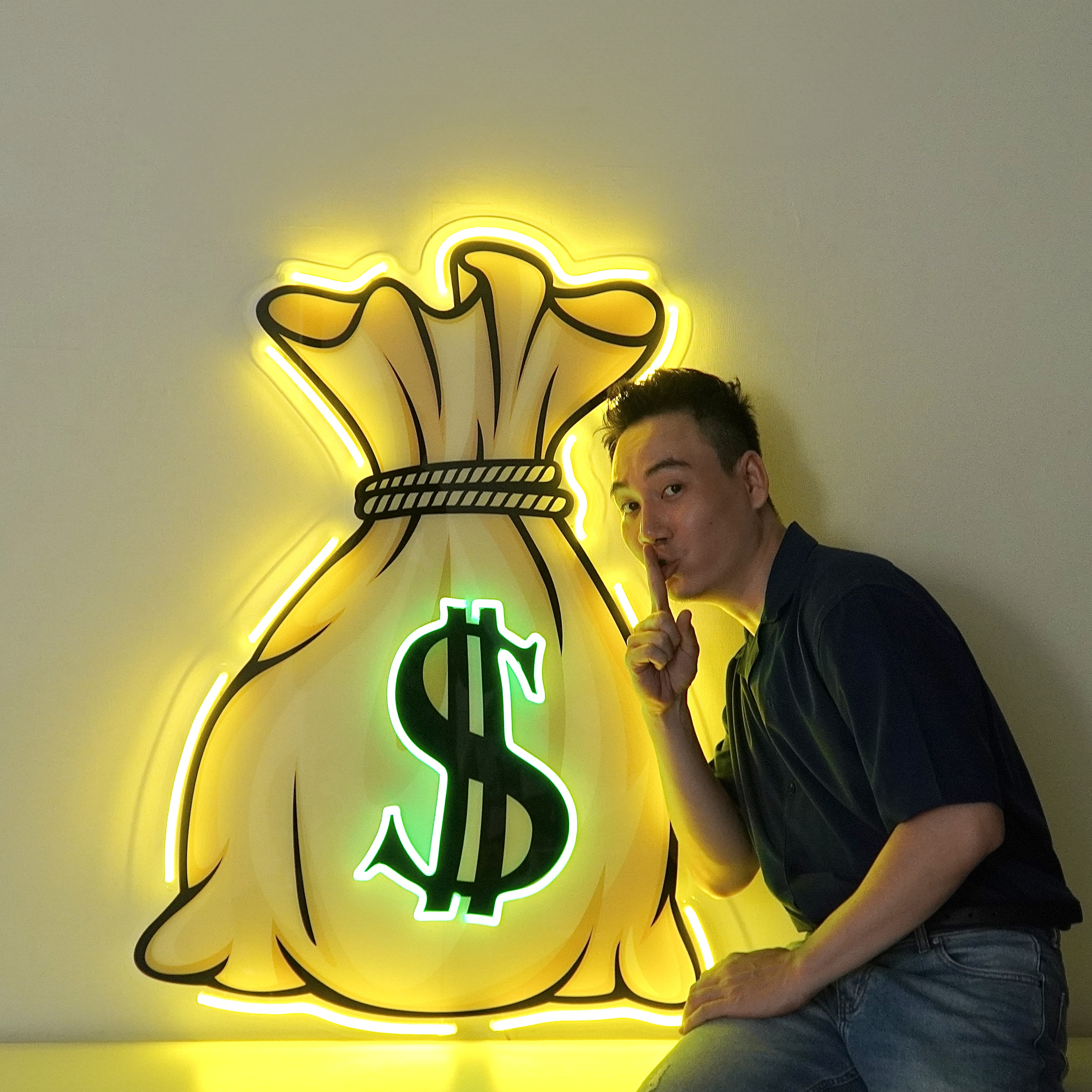 Money Bag Led Neon Acrylic Artwork
