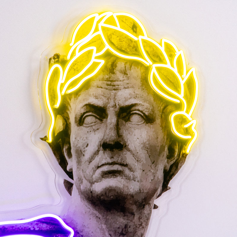 Julius Caesar Led Neon Acrylic Artwork