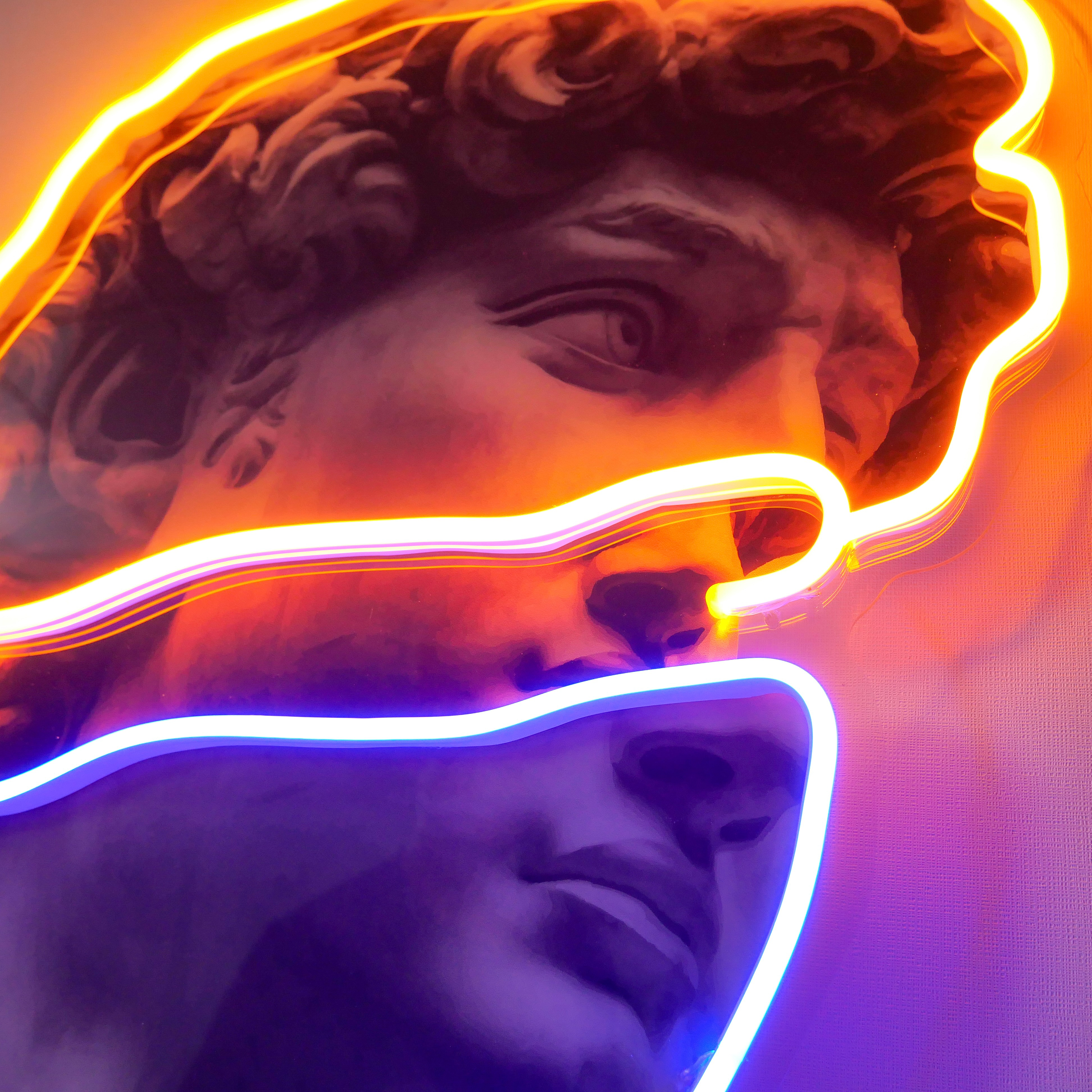 Statue of David Led Neon Acrylic Artwork