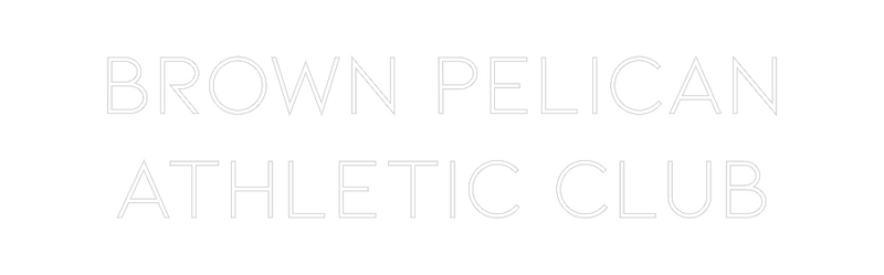 Custom Neon: Brown Pelican...