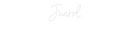 Custom Neon: Juarol