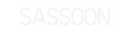 Custom Neon: SASSOON