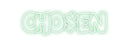 Custom Neon: CHO$EN