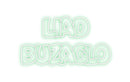 Custom Neon: Liad
Buzaglo