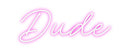 Custom Neon: Dude