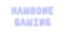 Custom Neon: Hambone
Gaming
