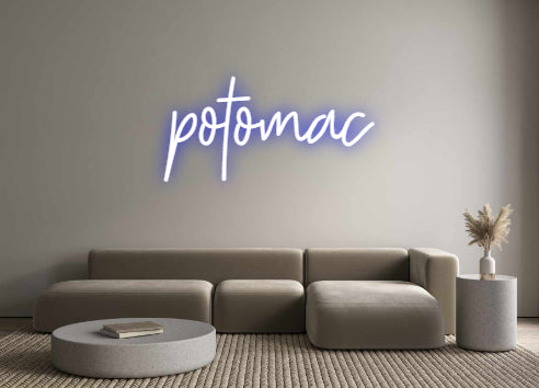 Custom Neon: potomac