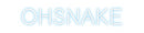 Custom Neon: OHSNAKE