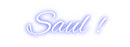 Custom Neon: Saul !