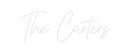 Custom Neon: The Carters