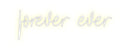 Custom Neon: forever ever