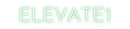 Custom Neon: ELEVATE1