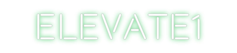 Custom Neon: ELEVATE1