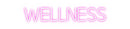 Custom Neon: WELLNESS