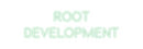 Custom Neon: Root
Develop...