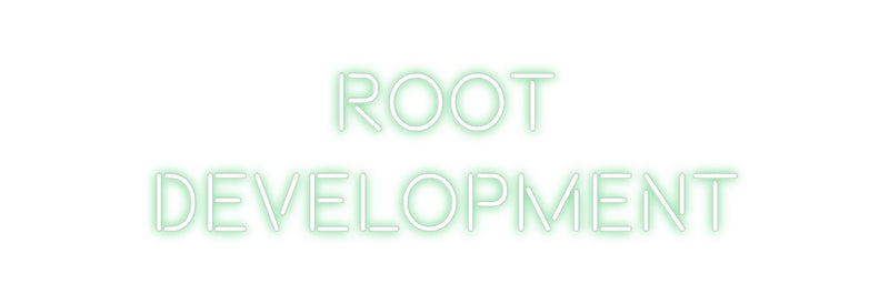 Custom Neon: Root
Develop...