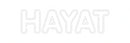 Custom Neon: HAYAT