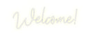 Custom Neon: Welcome!