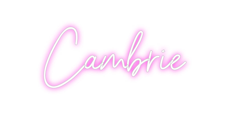 Custom Neon: Cambrie