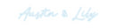 Custom Neon: Austin & Lily