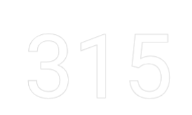 Custom Neon: 315