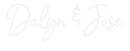 Custom Neon: Dalyn & Jose