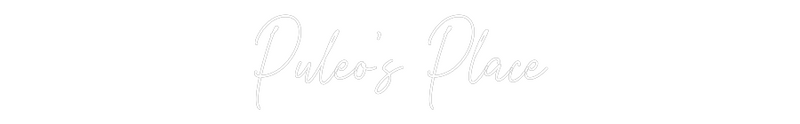 Custom Neon: Puleo’s Place