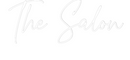 Custom Neon: The Salon