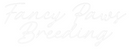 Custom Neon: Fancy Paws
B...