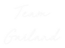 Custom Neon: Team
Garland
