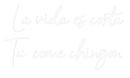 Custom Neon: La vida es co...