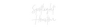 Custom Neon: Spotlight 
H...