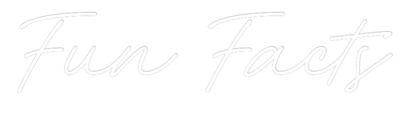 Custom Neon: Fun Facts