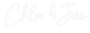 Custom Neon: Chloe & Joie