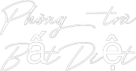 Custom Neon: Phòng trà 
B...