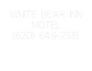 Custom Neon: WHITE BEAR IN...