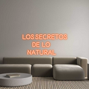 Custom Neon: Los Secretos ...