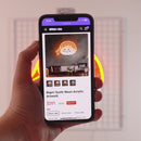 Nigiri Sushi Neon Acrylic Artwork