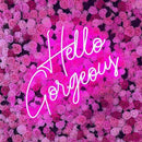 Hello Gorgeous Neon Sign - Custom Neon Signs | LED Neon Signs | Zanvis Neon®